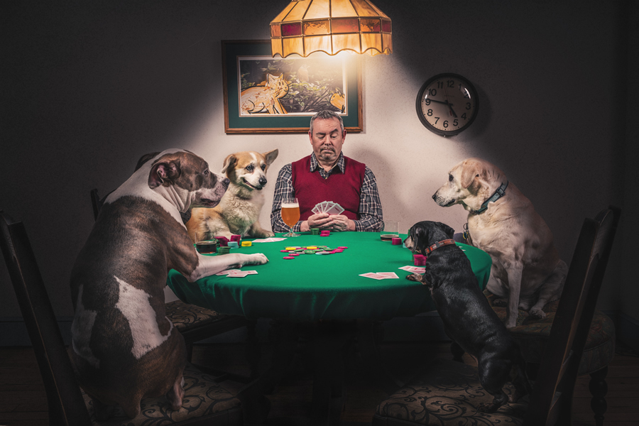 gratisography-man-dogs-playing-cards-thumbnail.jpg